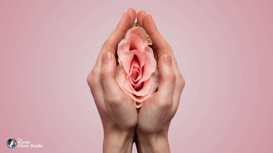 Labiaplasty in Korea | Best Clinics, Costs, Procedure Types & More