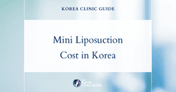 The Cost of Mini Liposuction in Korea | Costs, Factors Influencing The Price, Vs Cost in USA, Turkey, Mexico & More