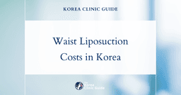 The Cost of Waist Liposuction in Korea | Costs, Factors Influencing The Price, Vs Cost in USA, Turkey, Mexico & More