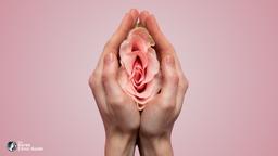 Labiaplasty in Korea | Best Clinics, Costs, Procedure Types & More