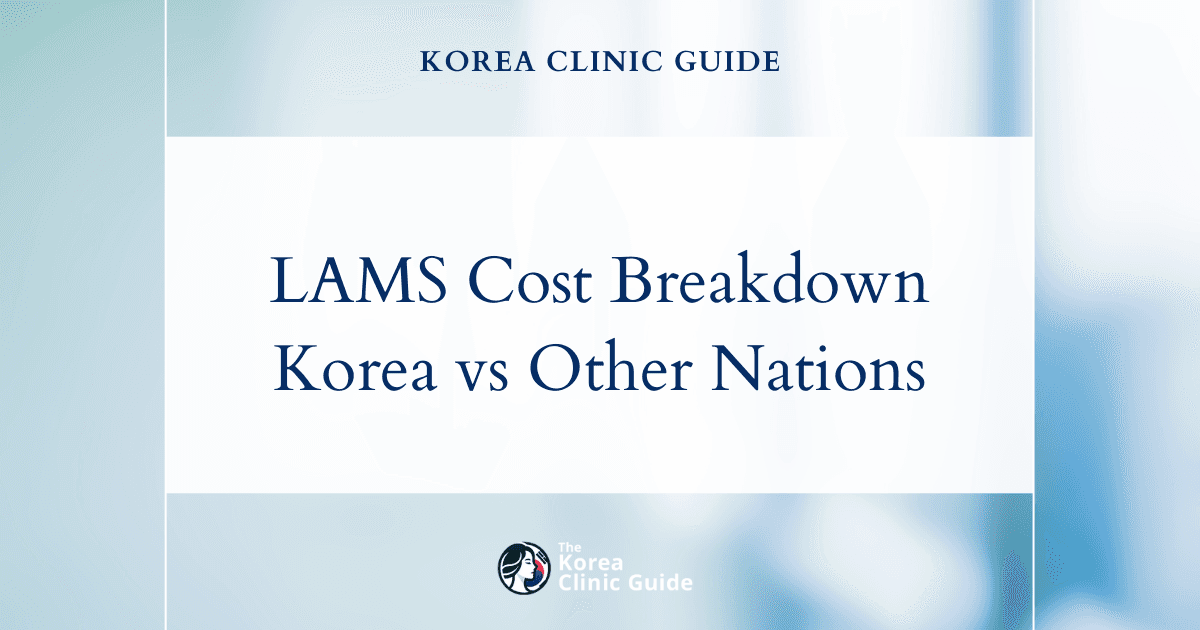 The Cost of LAMS in Korea | Costs, Factors Influencing The Price, Vs Cost in USA, Turkey, Mexico & More