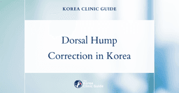 Dorsal Hump Correction in Korea: Rhinoplasty and Nose Osteotomy Procedures Explained