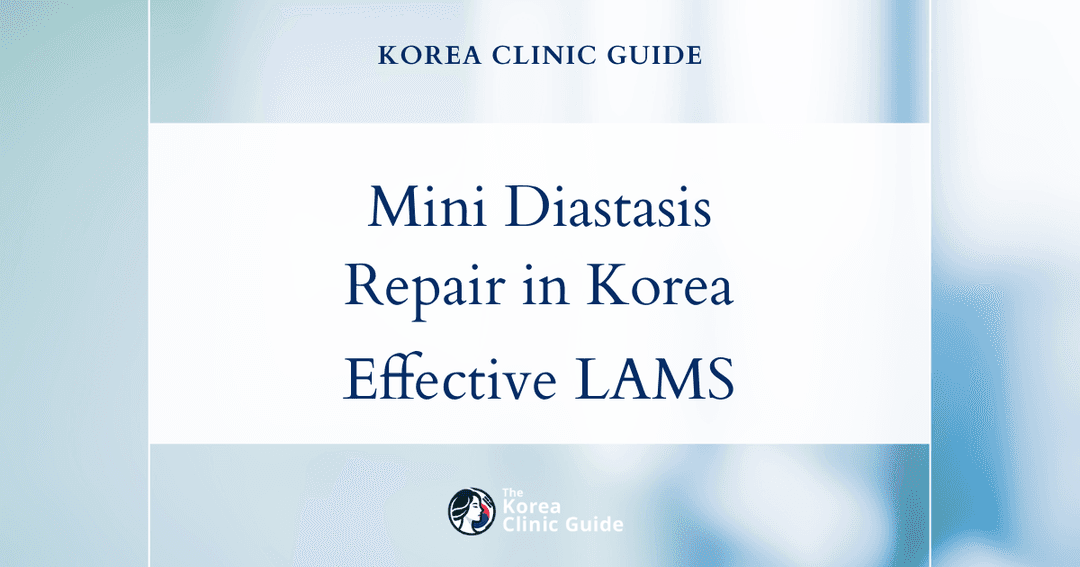 mini diastasis repair