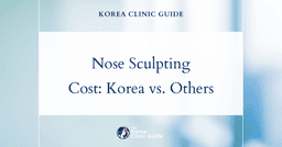 The Cost of Nose Sculpting Injection in Korea | Costs, Factors Influencing The Price, Vs Cost in USA, Turkey, Mexico & More