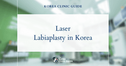 Laser Labiaplasty in Korea | Best Clinics, Costs, Procedure Types & More