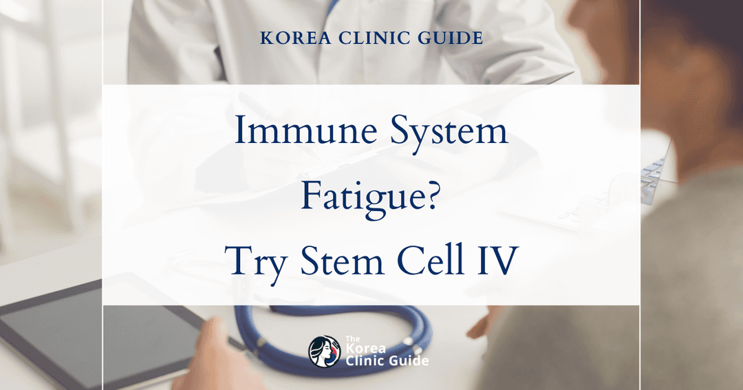 immune system fatigue