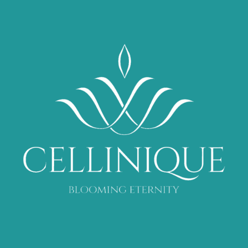 Cellinique Clinic Korea: Advanced Stem Cell and Laser Treatments for Health, Beauty, and Rejuvenation in Gangnam