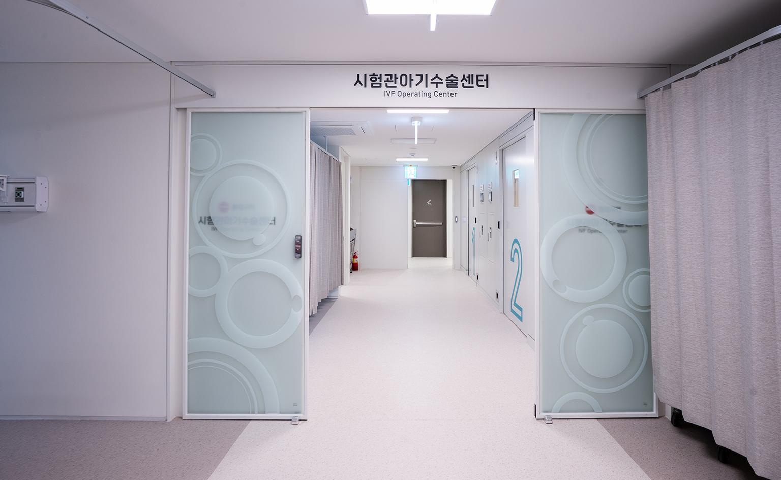 Seoul Miz Promise IVF4