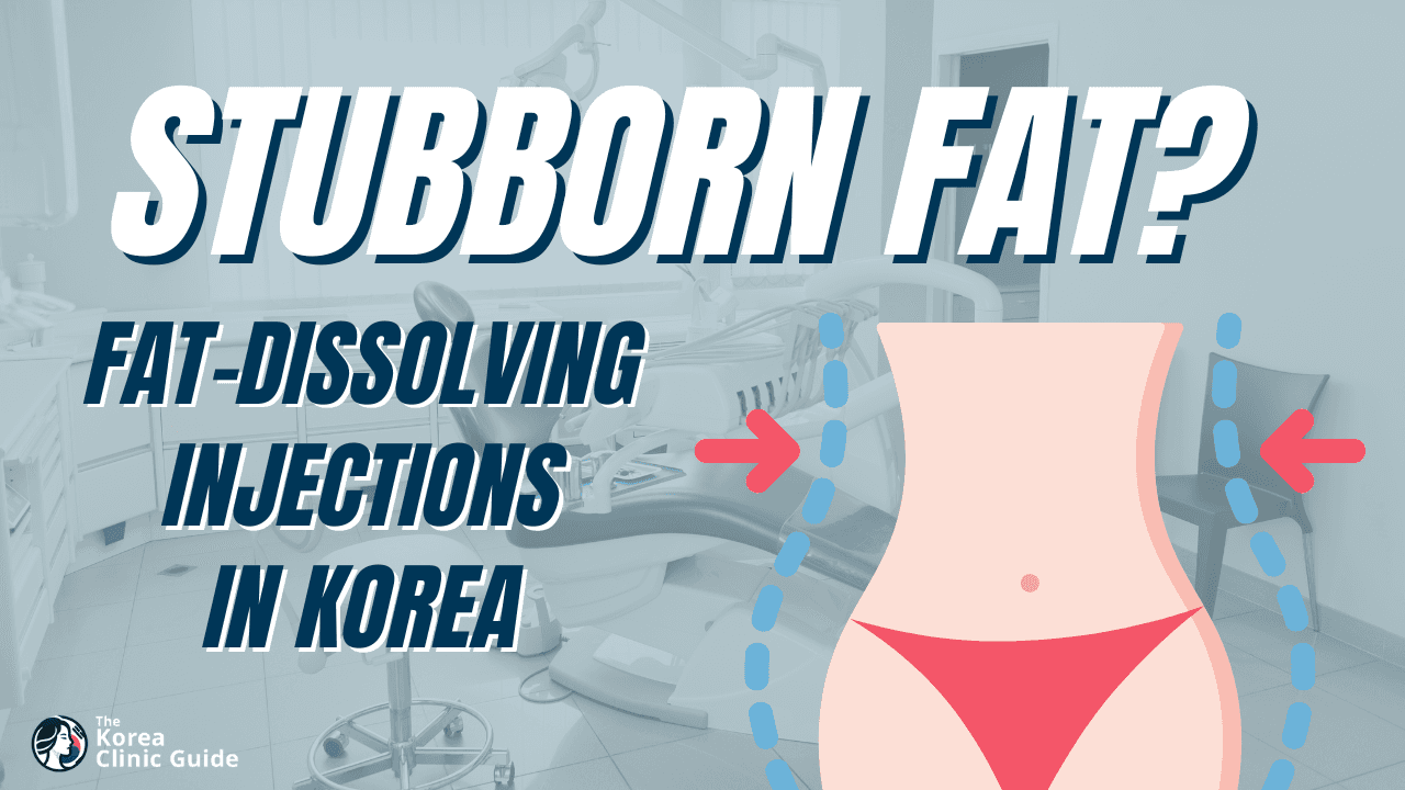 Fat Dissolving Injections in Korea: Costs, Best Clinics & What to Expect