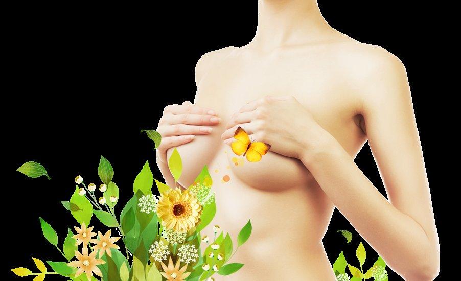 Uva Plastic Surgery