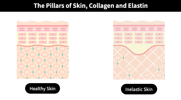 Skin Booster