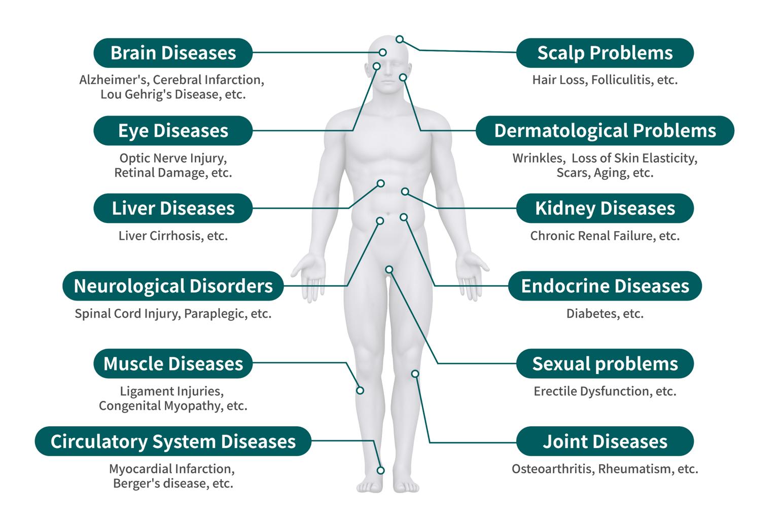 Stem Cell Disease Therapy
