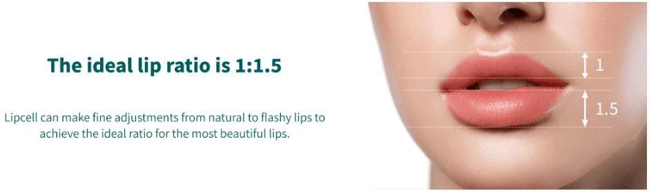 Lip Fillers