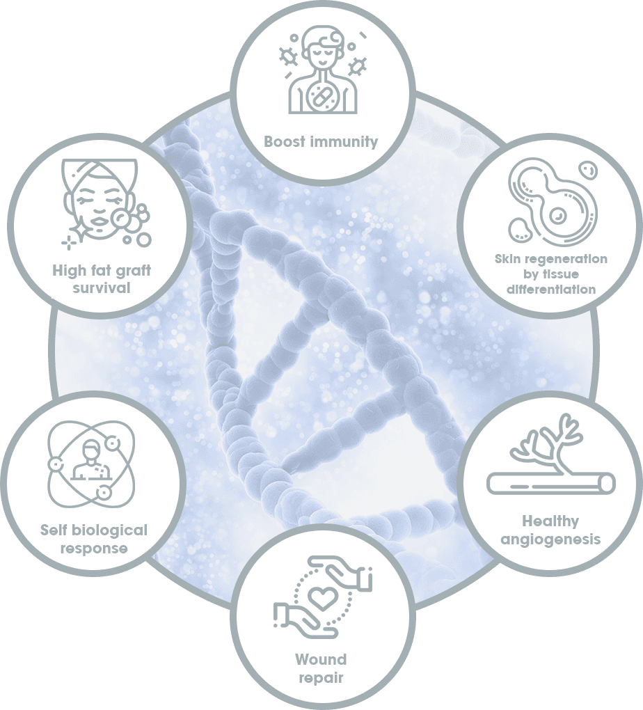 Stem Cell Fat Grafting, Stem Cell Breast Augmentation